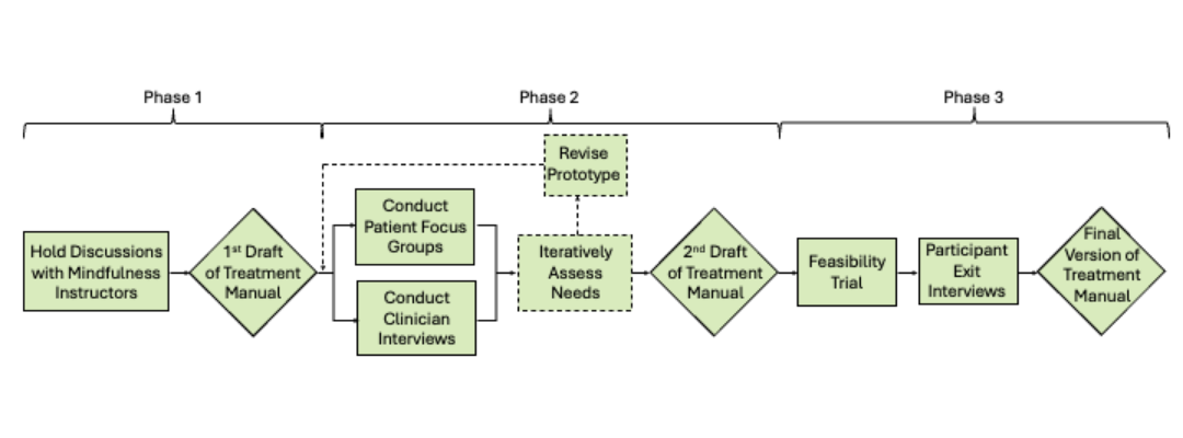 Timeline graphic showing recruitment, baseline assessment, intervention period, midpoint evaluation, post-intervention assessment, and follow-up for the Move-MORE study.