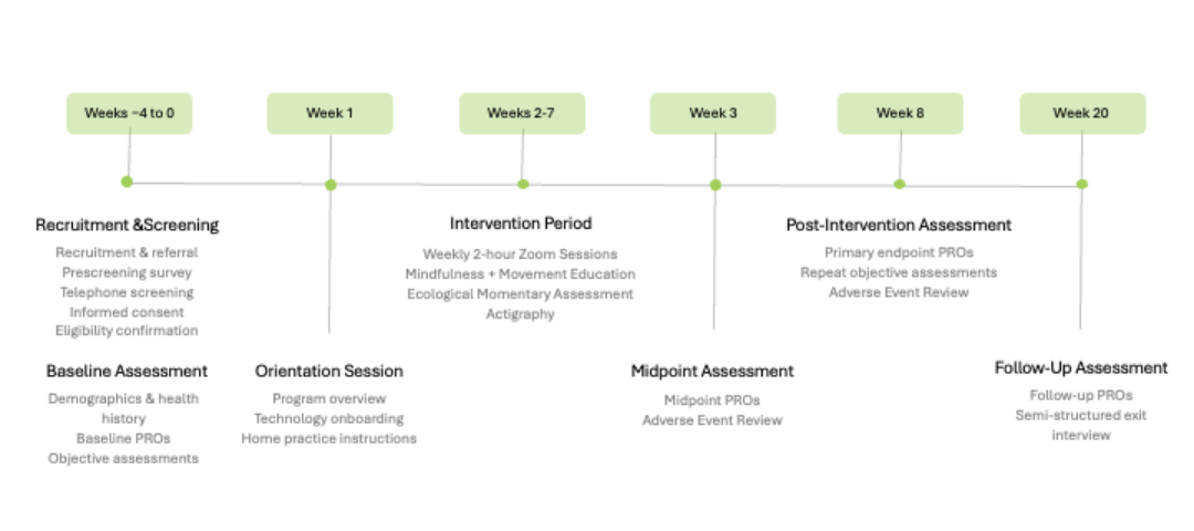 Diagram outlining the phased development process of the Move-MORE mindfulness and movement intervention, including clinician interviews, participant focus groups, prototype revisions, and feasibility testing.